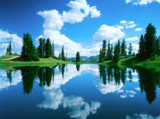 oaapY޹˾