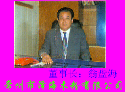 Нɺľ޹˾