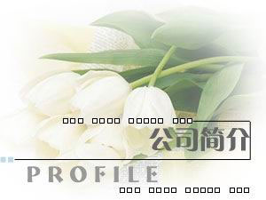 ʢůͨϵy(tng)޹˾