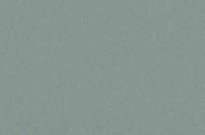 yϵ(AL-309)
